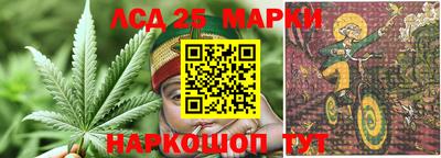 прущие крисы Славгород