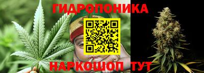прущие крисы Славгород