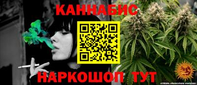 прущие крисы Славгород