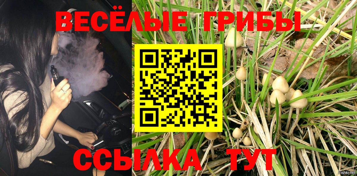Усолье-Сибирское  Галлюциногенные грибы прущие грибы  Вход с VPN 